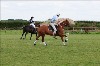 UKPA  NC Sat_1210